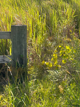 Load image into Gallery viewer, XXXX E. Irlo Bronson Memorial HWY Saint Cloud FL 34771 .69 acre High & Dry Buildable