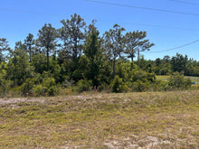 Load image into Gallery viewer, XXXX E IRLO BRONSON MEMORIAL HWY SAINT CLOUD FL (.69 Acre Land (HIGH AND DRY property)
