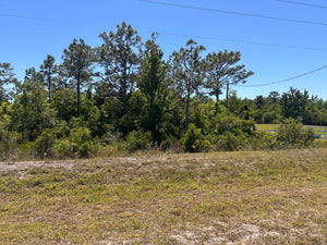 XXXX E IRLO BRONSON MEMORIAL HWY SAINT CLOUD FL (.69 Acre Land (HIGH AND DRY property)