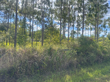 Load image into Gallery viewer, XXXX E. Irlo Bronson Memorial HWY Saint Cloud FL 34771 .69 acre High &amp; Dry Buildable
